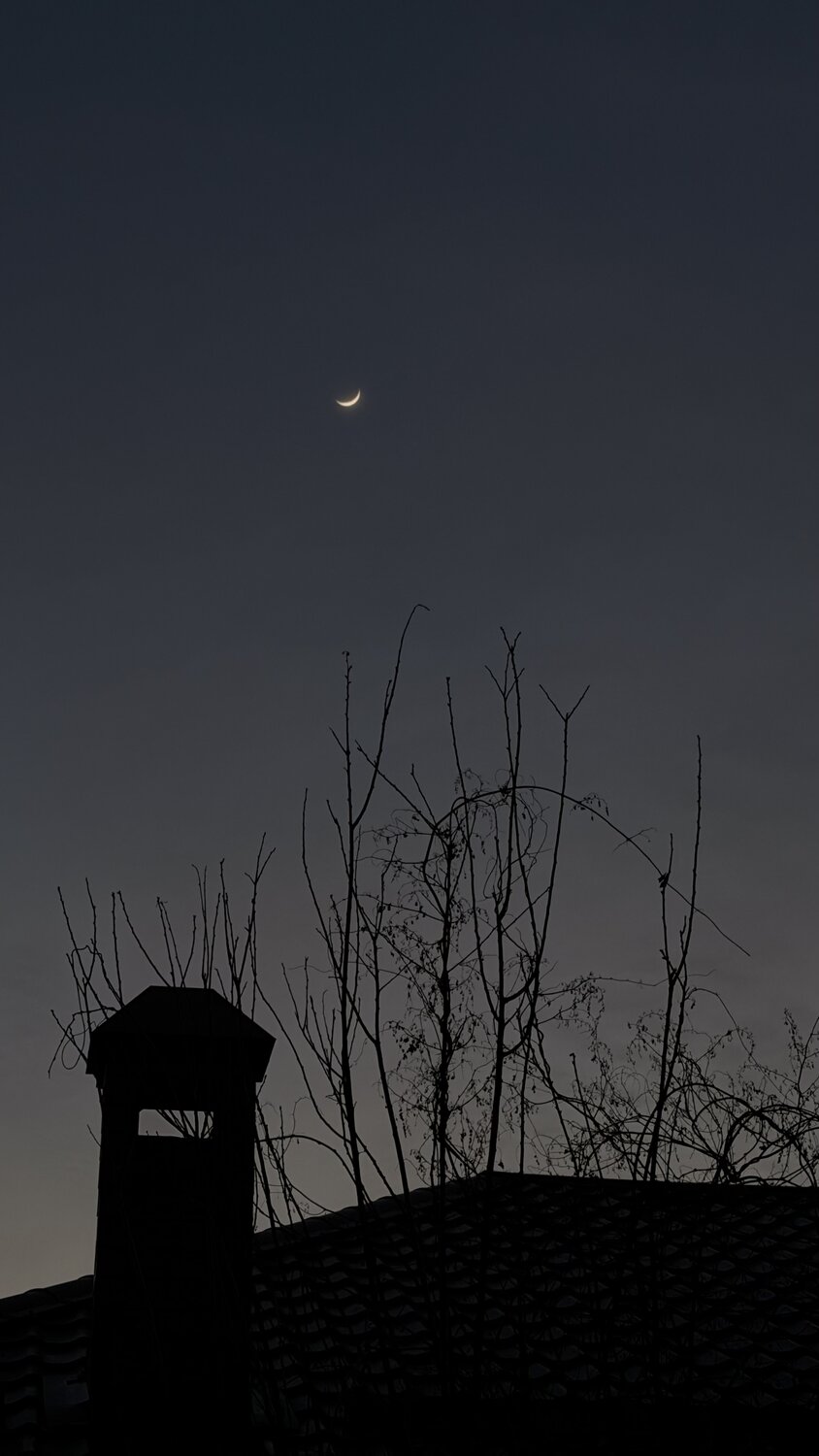 Photo #13929169