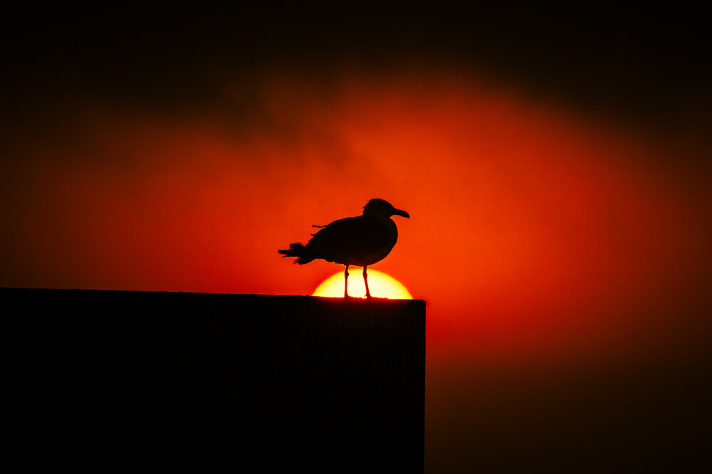 Photograph by Egor Koshkin