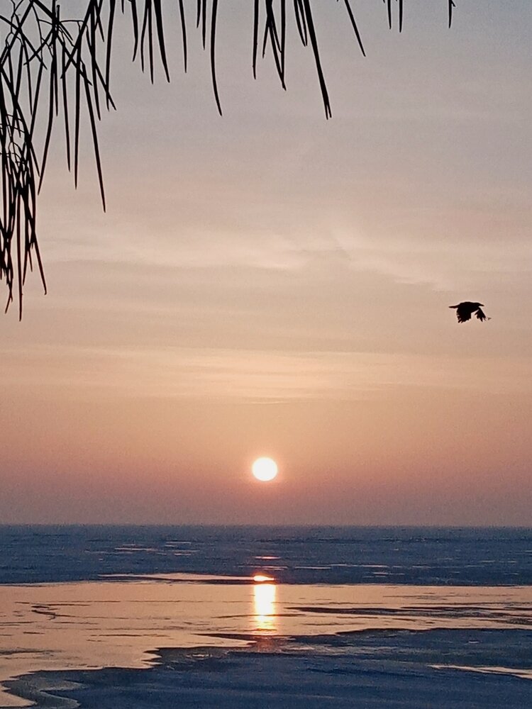 Photograph by Светлана Зубанова