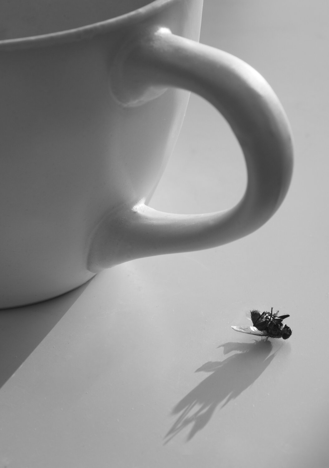 Photo #13929335