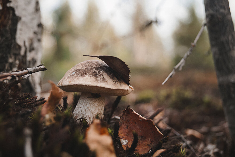 Photograph by Анна Никитина