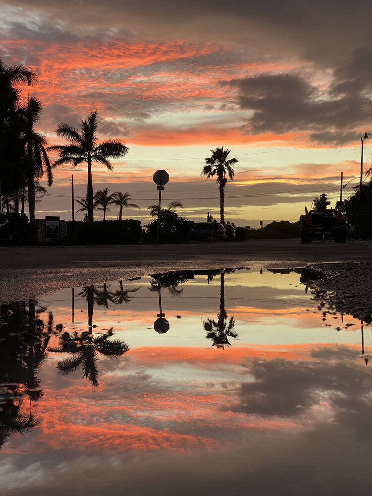 Photograph by Carla Rodrigues