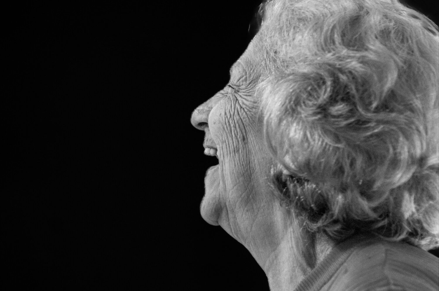 Photo #13929456