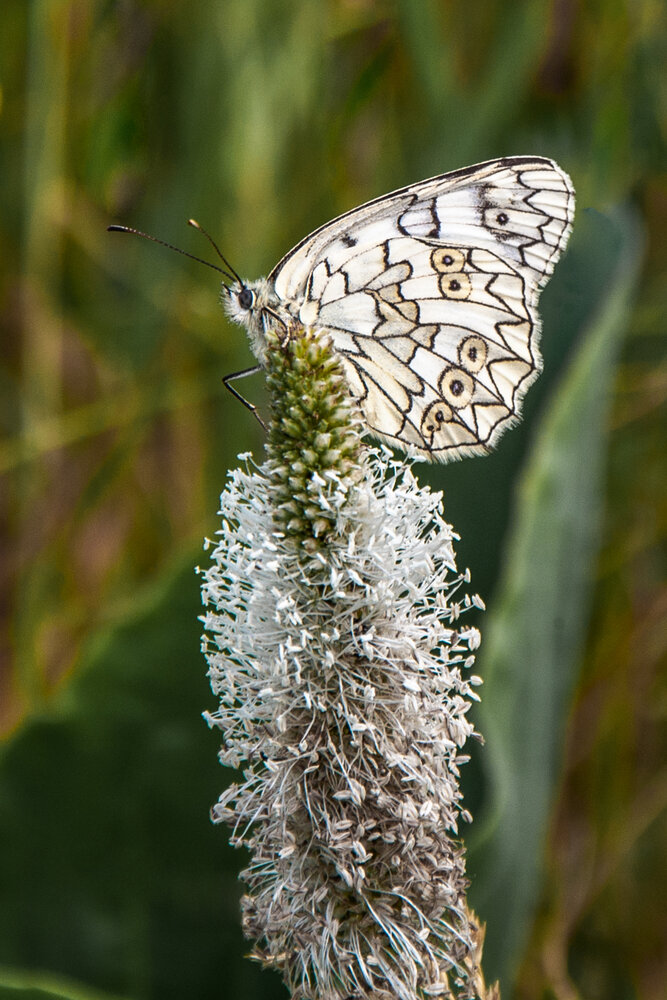 Photograph by Наталья Веселкина