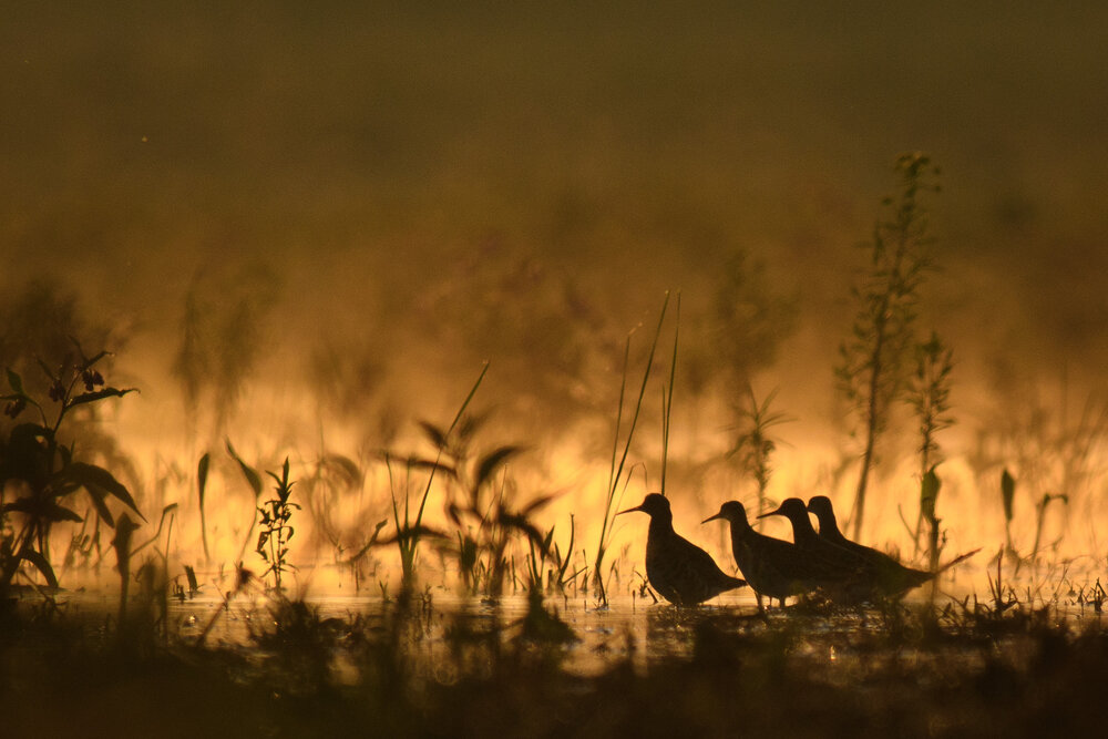 Photograph by Вячеслав Ладанов