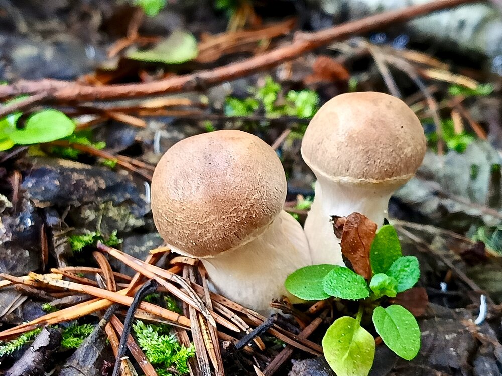 Photograph by Татьяна Бешенкина