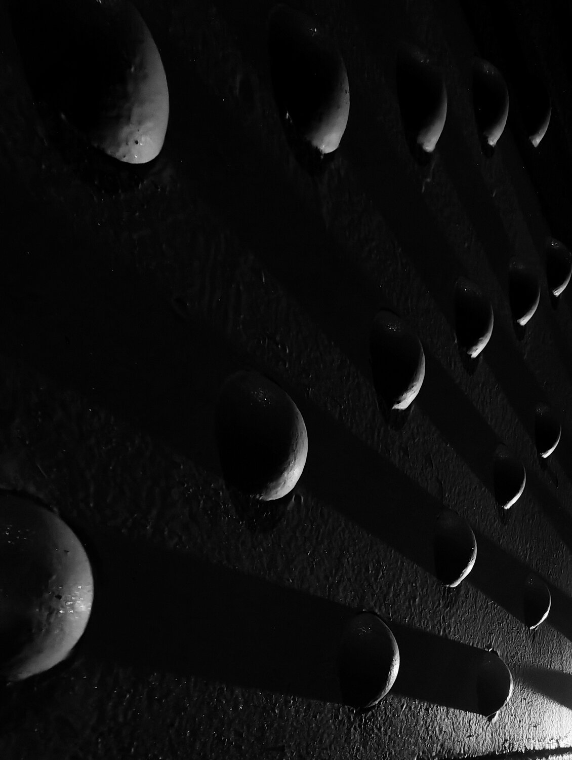 Photo #13929788