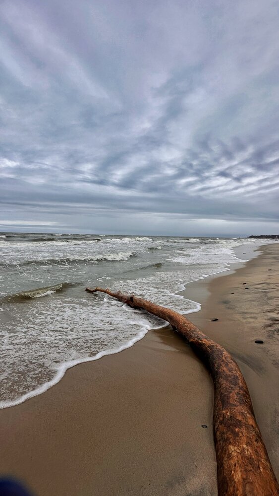 Photograph by Олеся Высокова