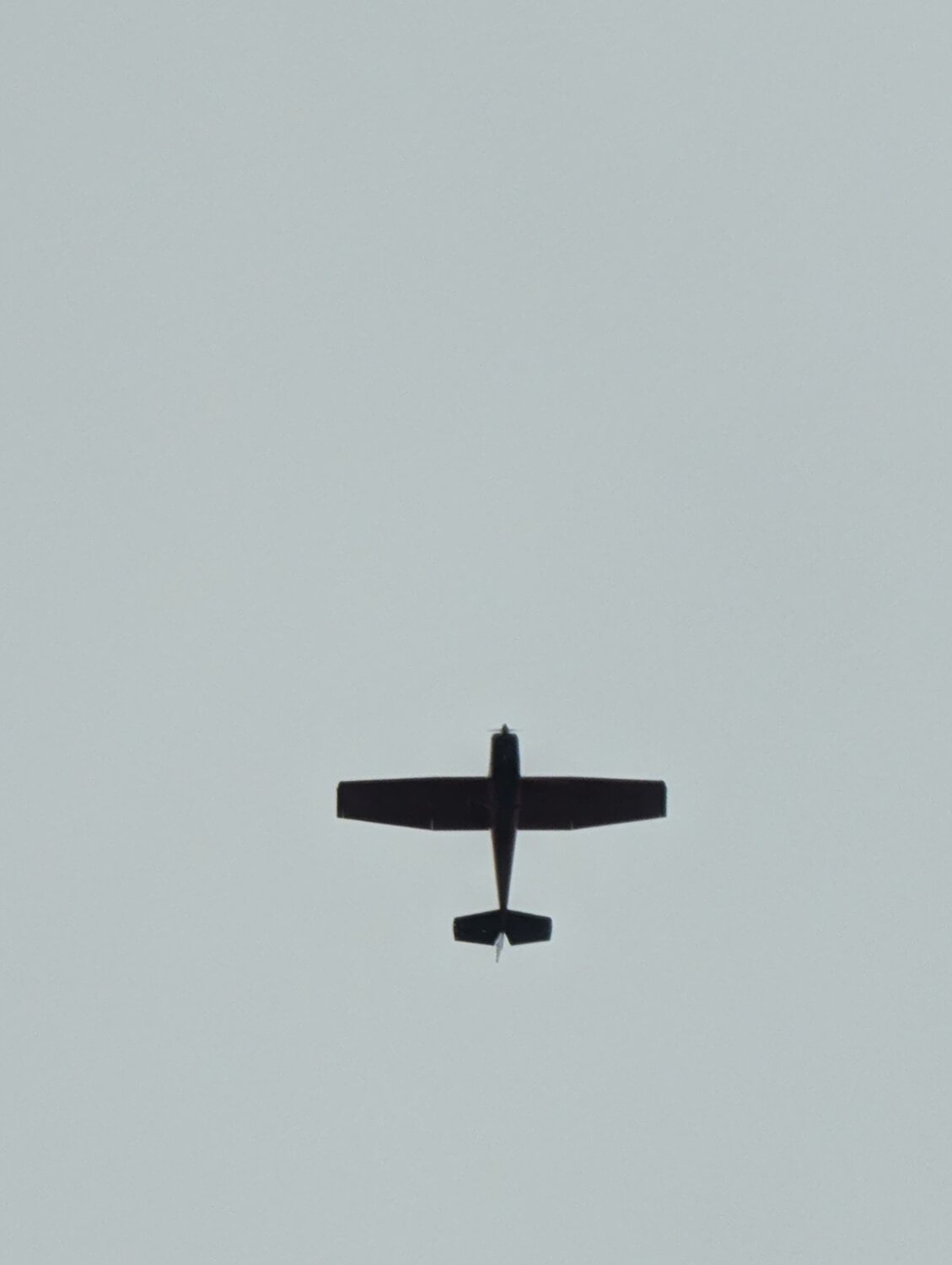 Photo #13929806