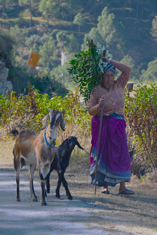 Photograph by Raushan Kumar