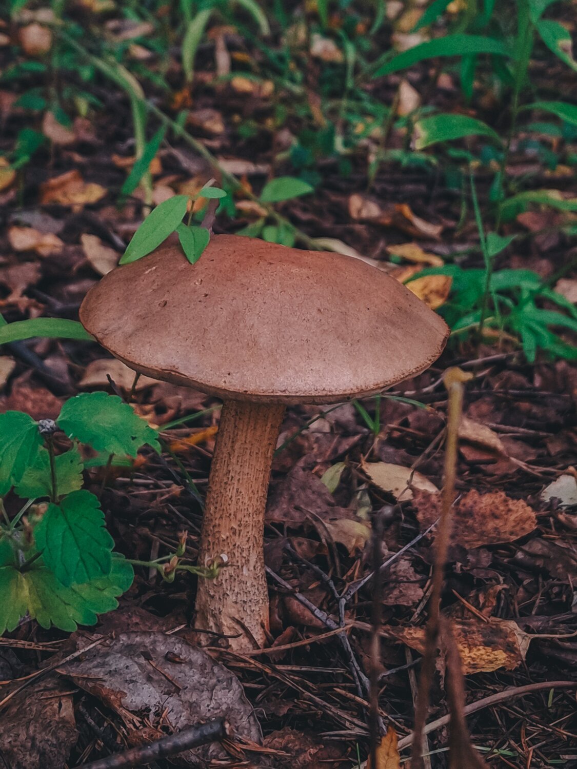 Фотография #13930177