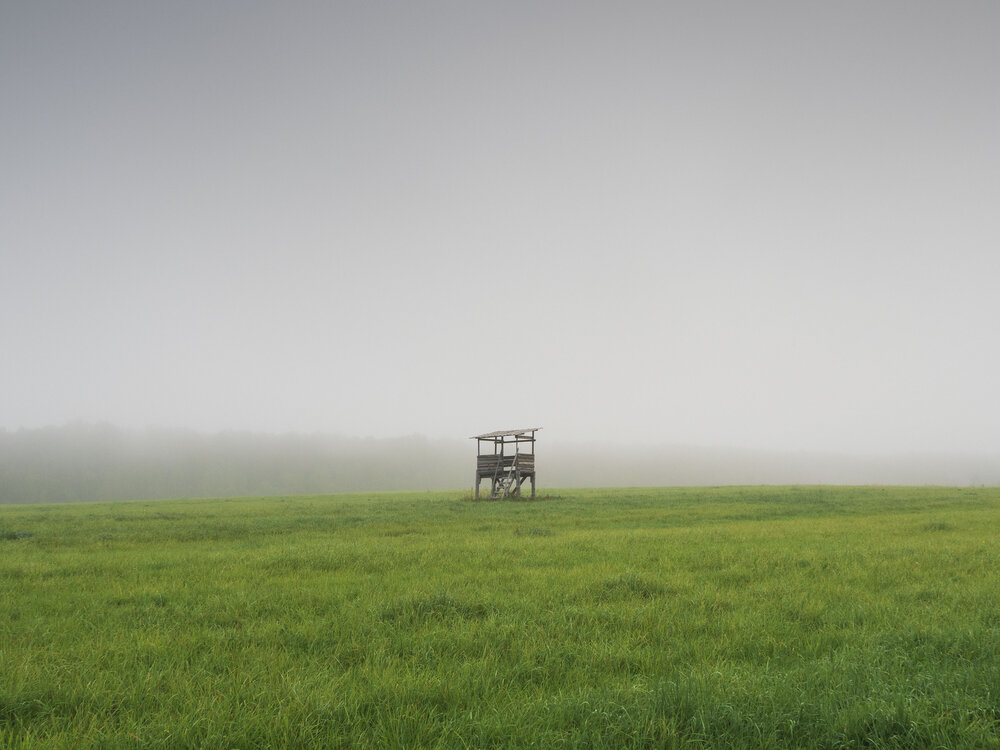 Photograph by Борис Полтавец