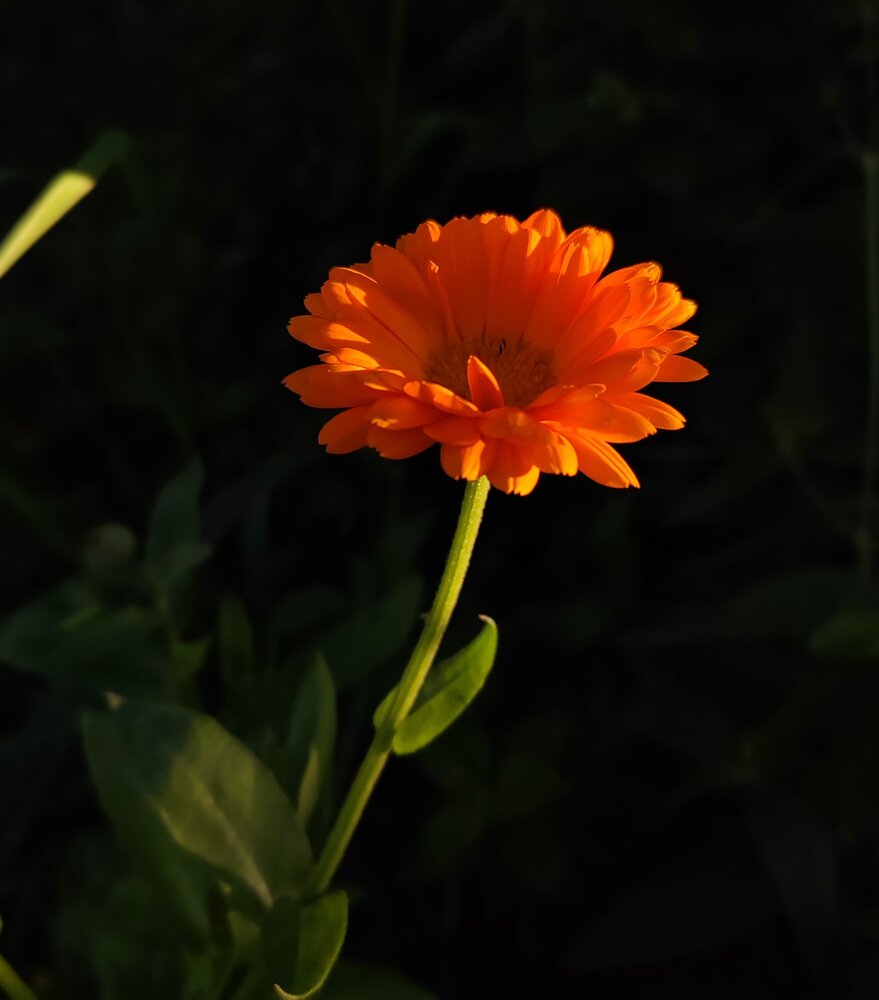 Photograph by Ольга Рыбина