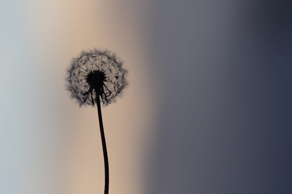 Photograph by Галкина Екатерина