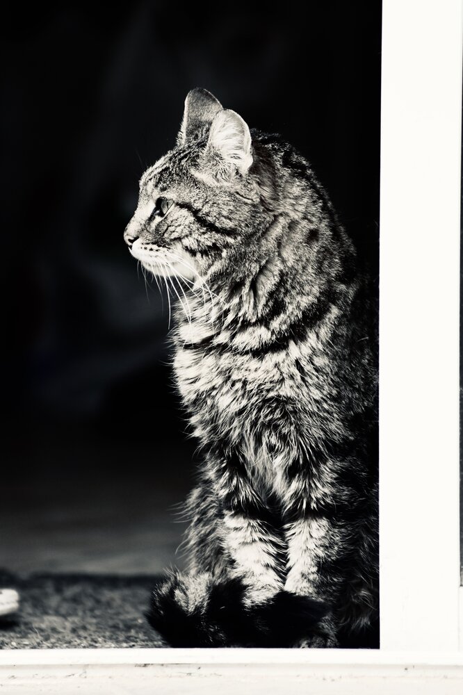 Photograph by Галкина Екатерина