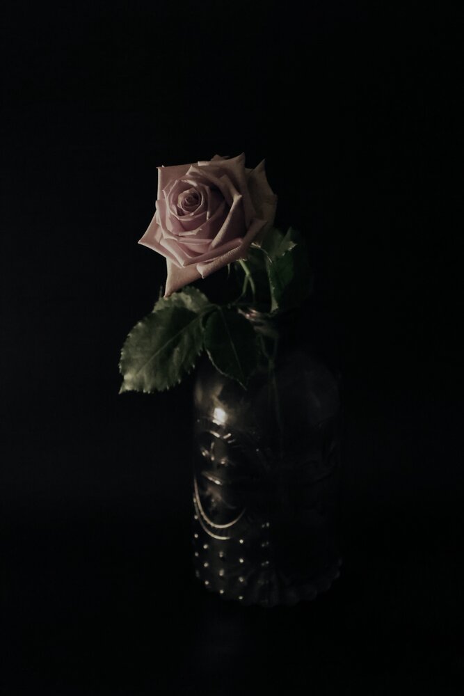 Photograph by Галкина Екатерина