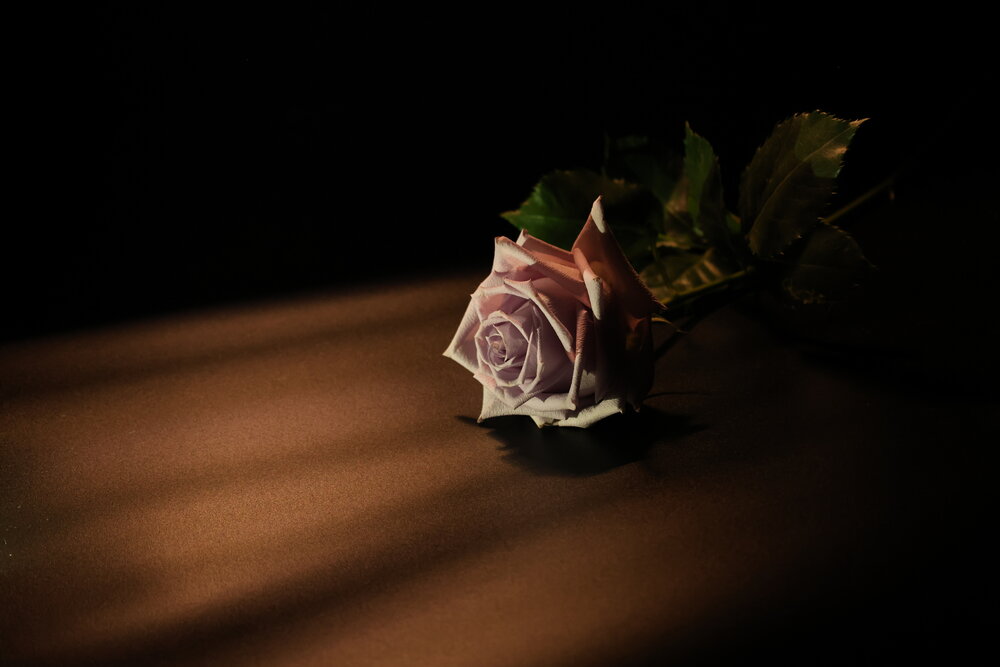 Photograph by Галкина Екатерина