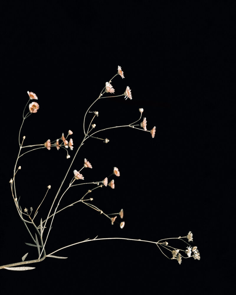 Photograph by Tanya Yerko