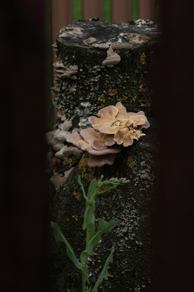 Photograph by Галкина Екатерина