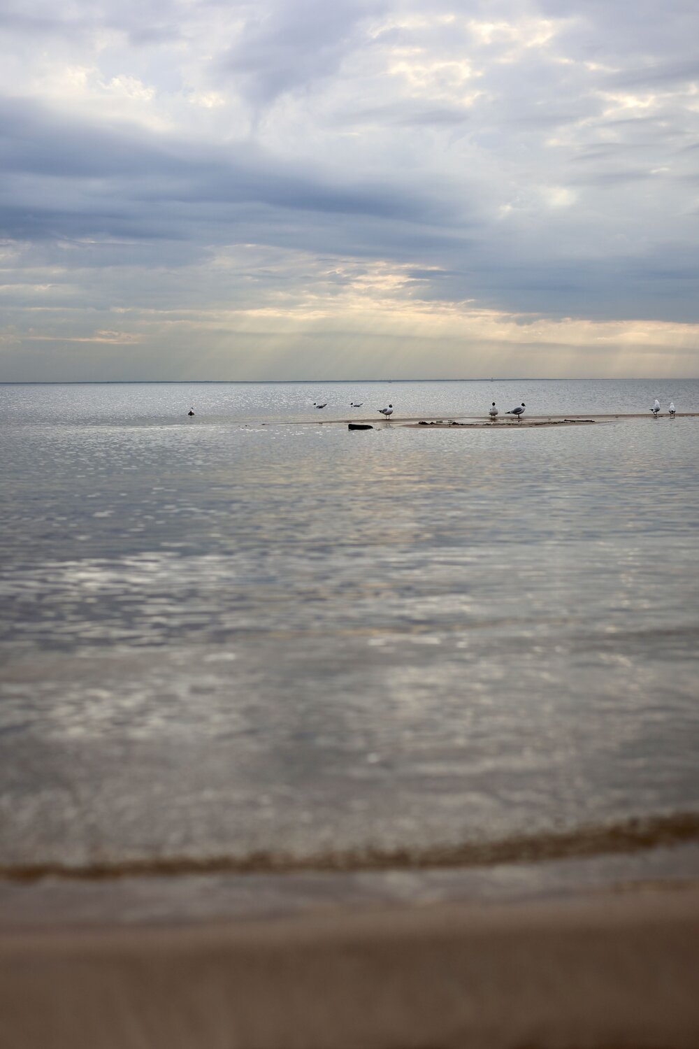 Photo #13930496