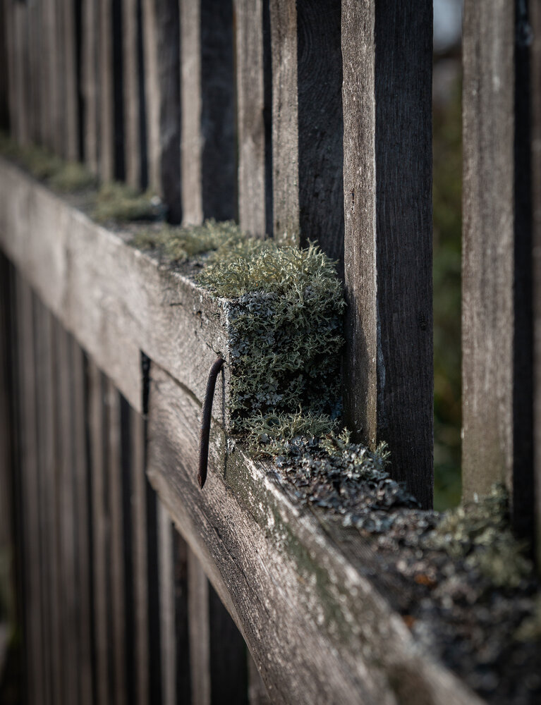 Photograph by Олег Шмельков