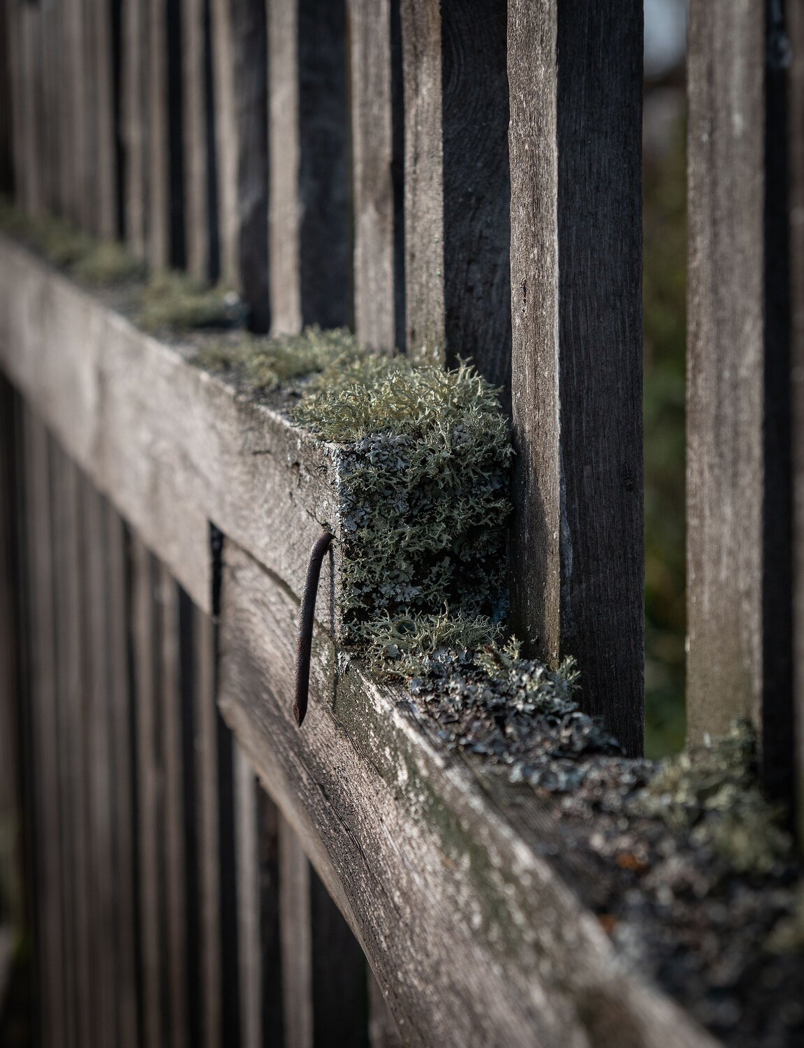 Photo #13930528