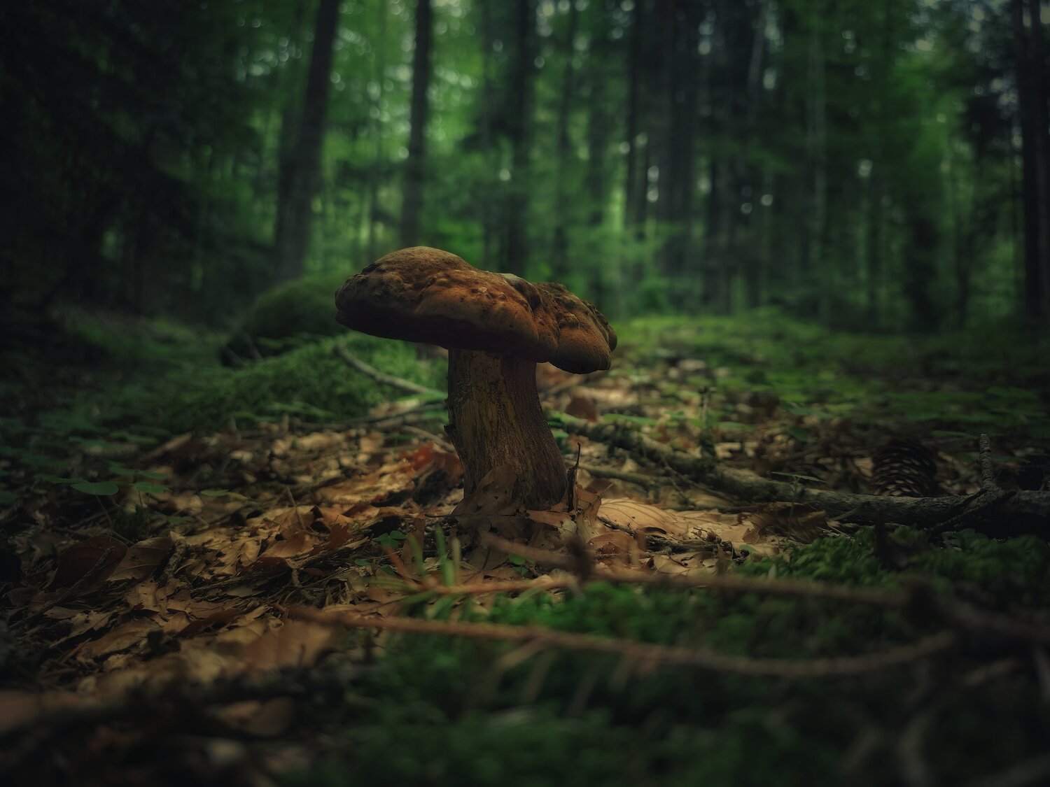 Photo #13930543