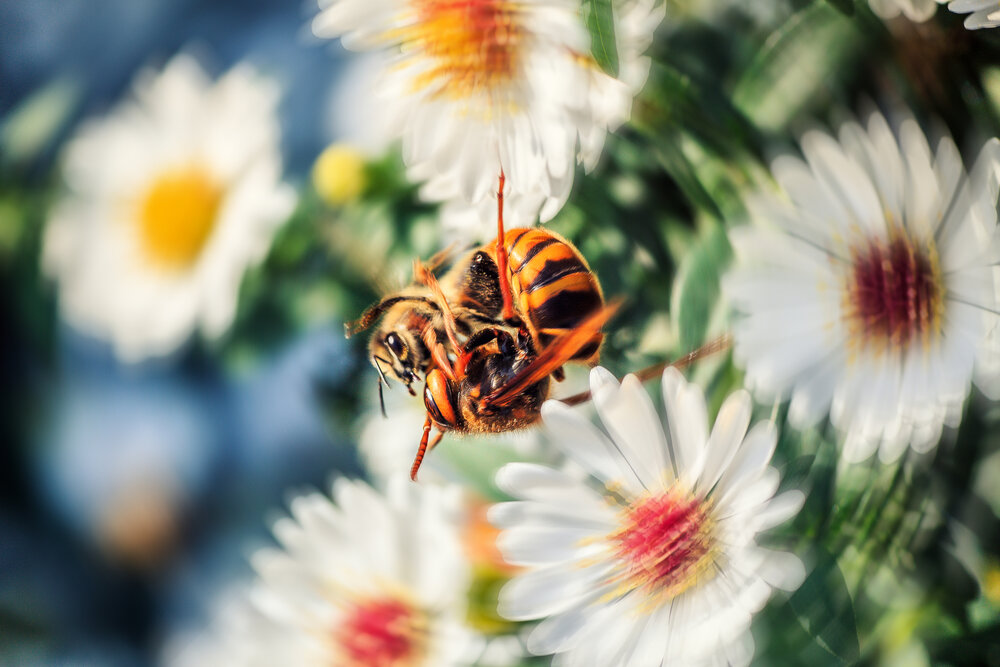Photograph by Дмитрий Огольцов