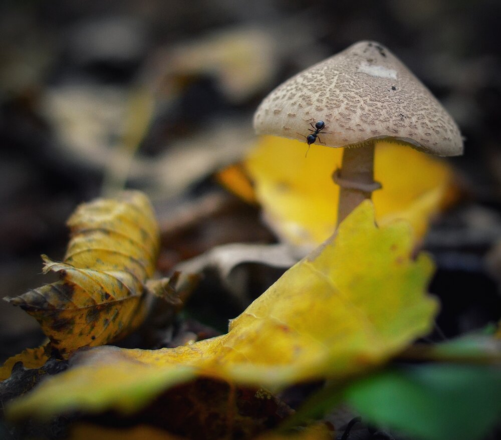 Photograph by Юлияна Стоянова