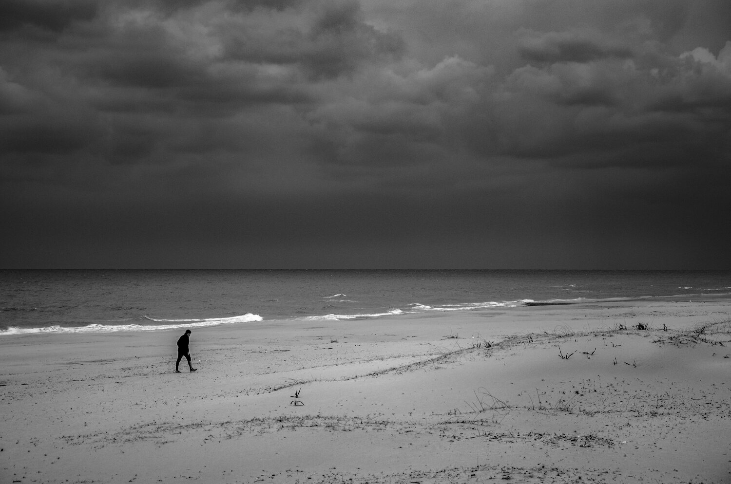 Photo #13930749
