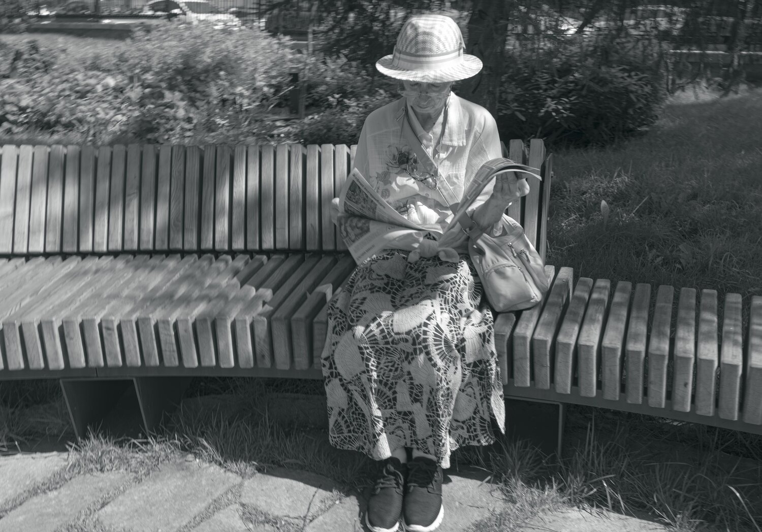 Photo #13930780
