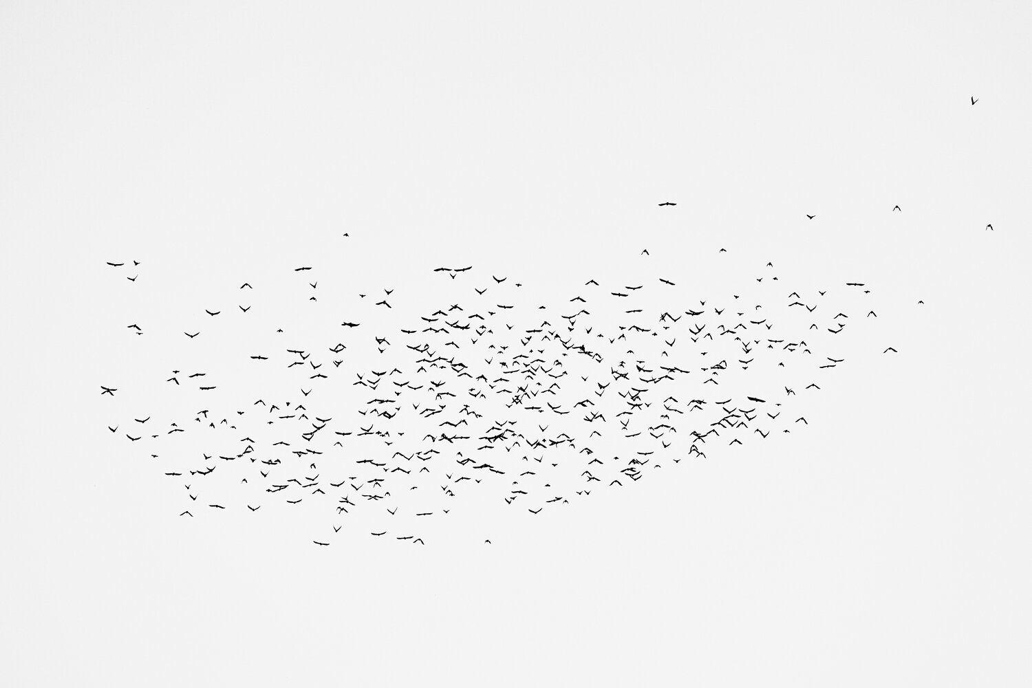 Photo #13930928