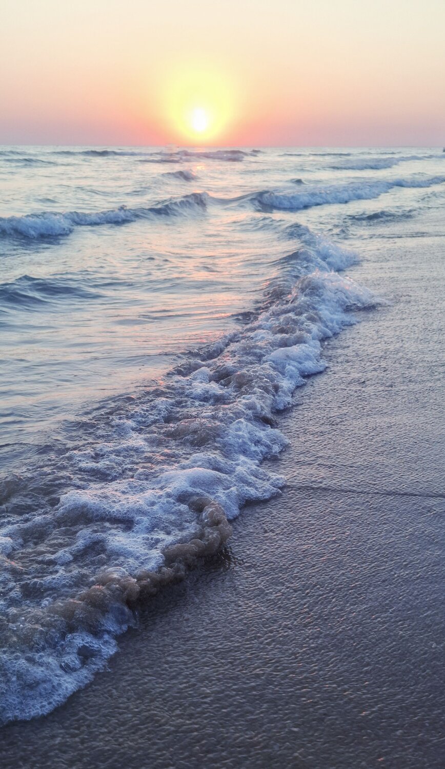 Photo #13930974