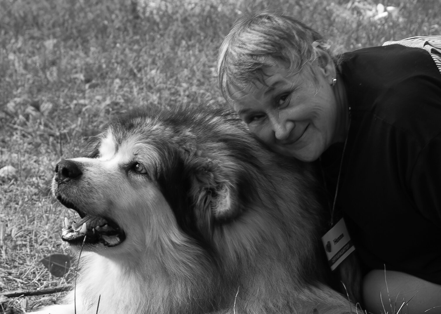 Photo #13931022