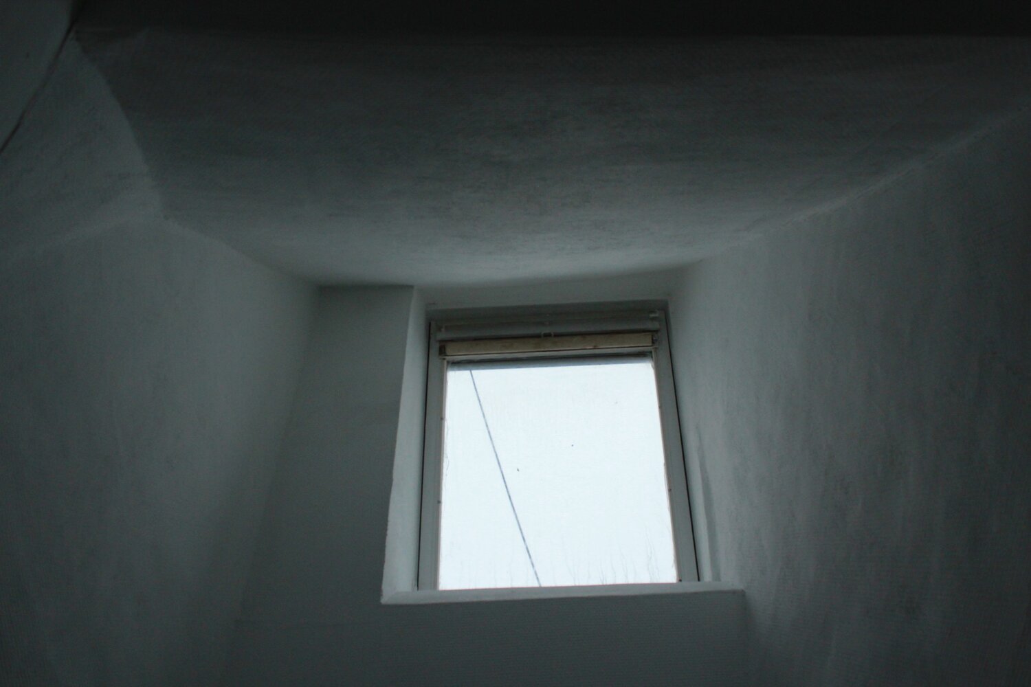 Photo #13931096