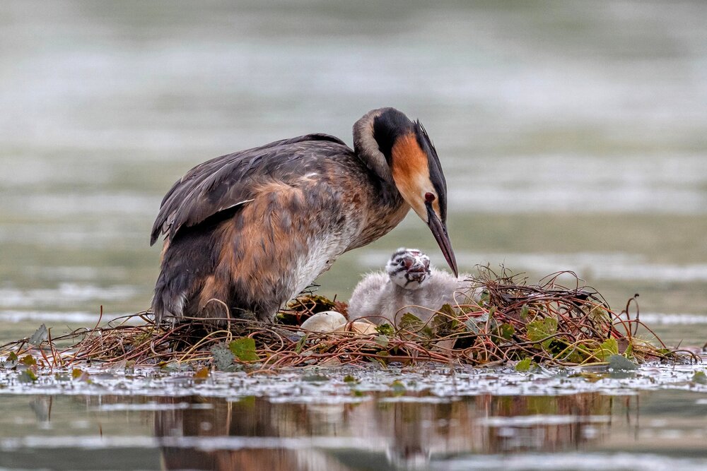 Photograph by Константин Тучин