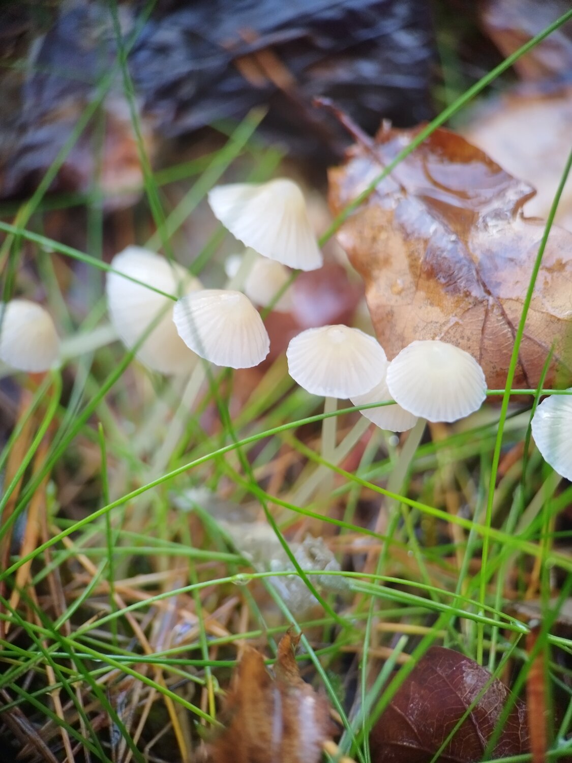 Photo #13931504