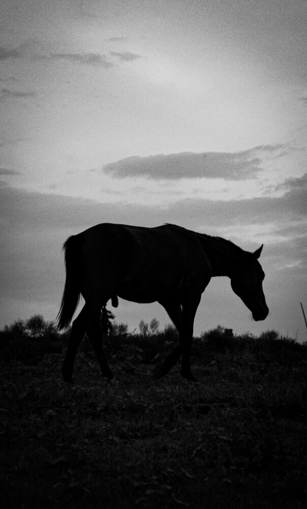 Photograph by Виктор Тужиков
