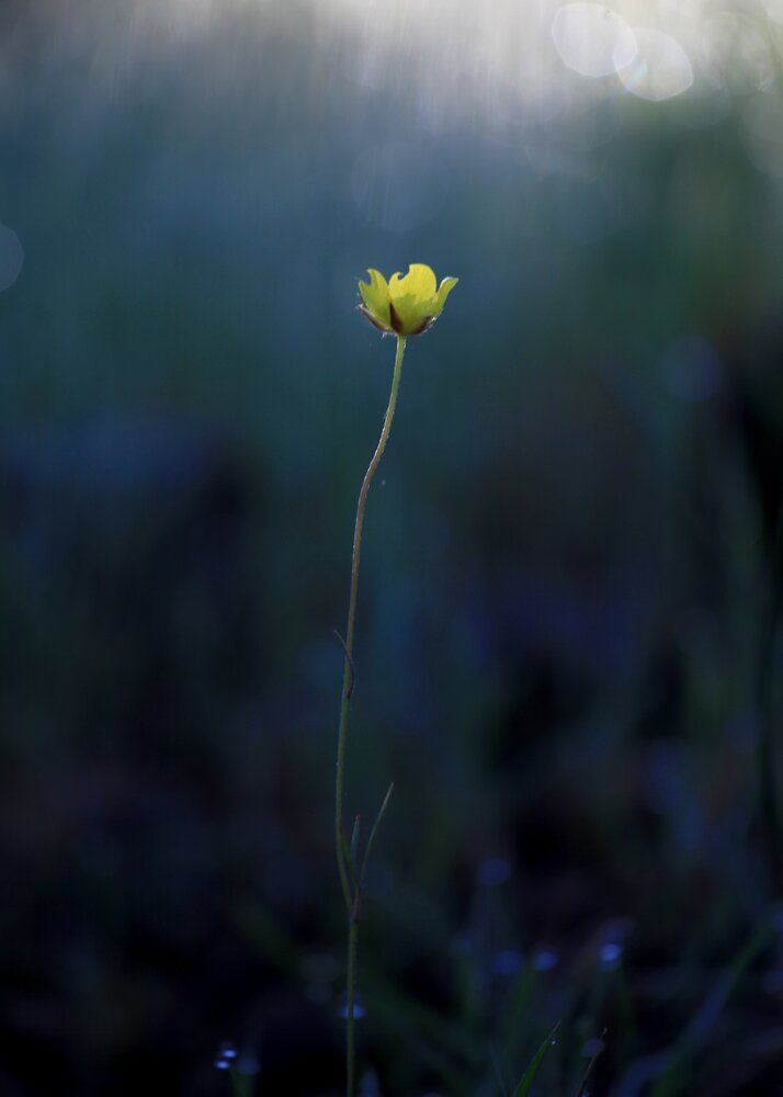 Photograph by ANDREY PERESHEIN