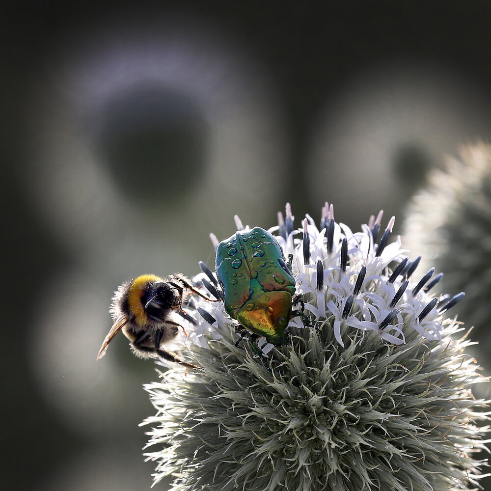 Photograph by Бибичков Михаил