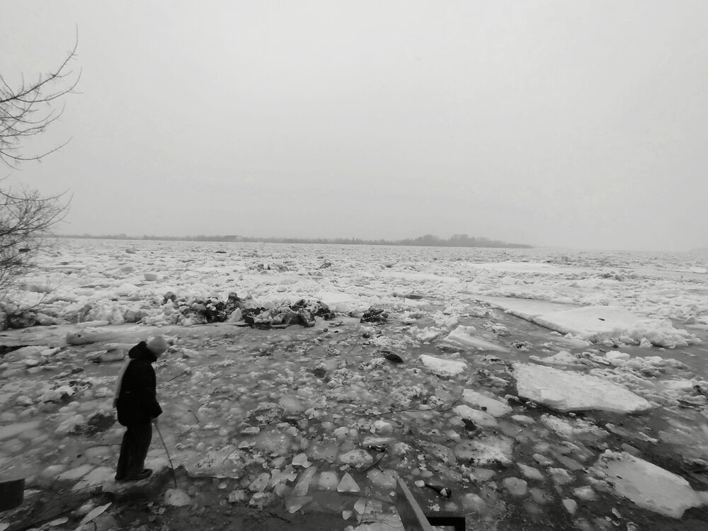 Photo #13931833