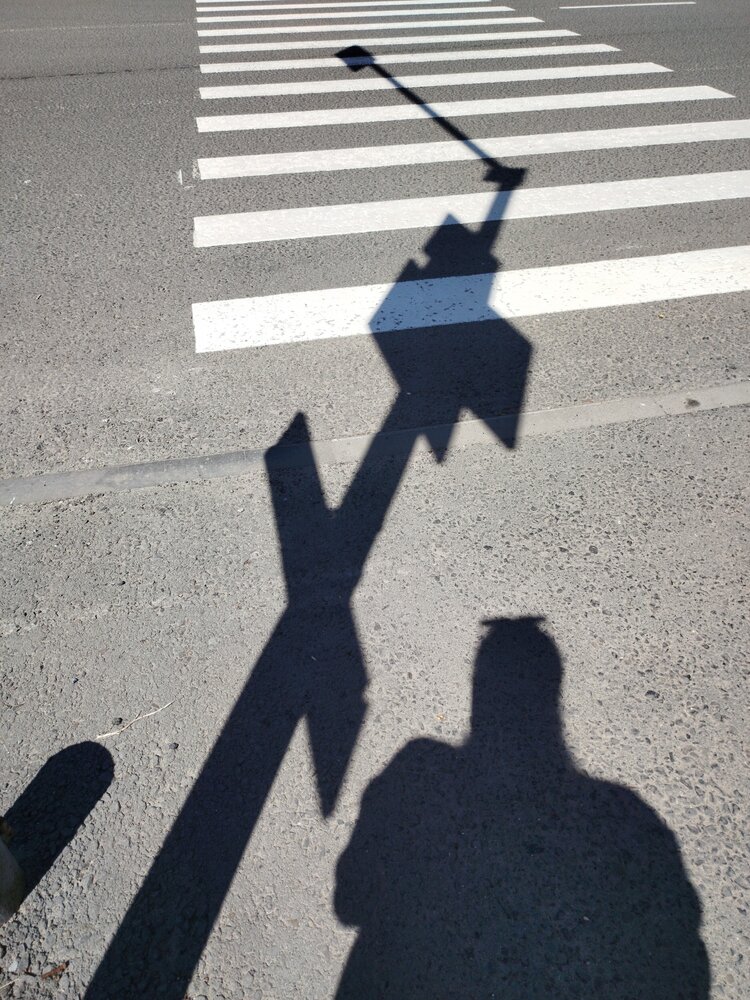 Photo #13931835