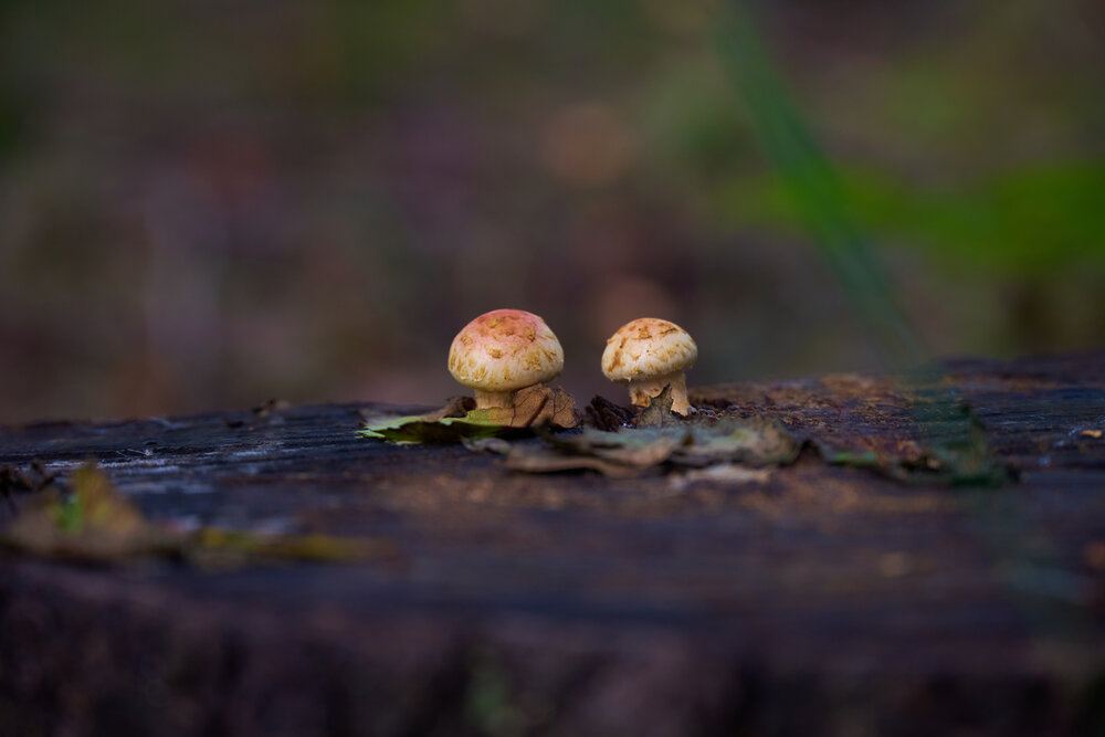 Photograph by Камиль Ахметшин