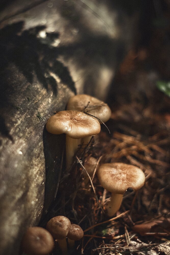 Photograph by Соболева Юлия