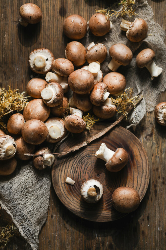 Photograph by Zhenia Vladimirova