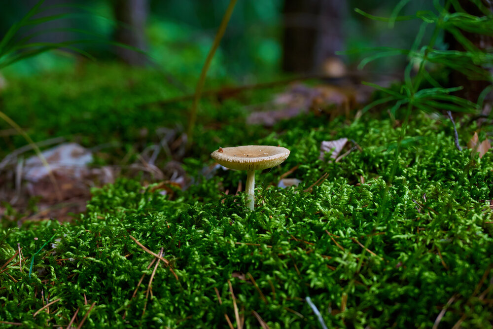 Photograph by Камиль Ахметшин