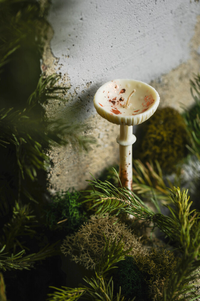 Photograph by Zhenia Vladimirova