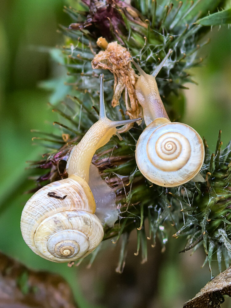 Photograph by Наталия Сметнёва