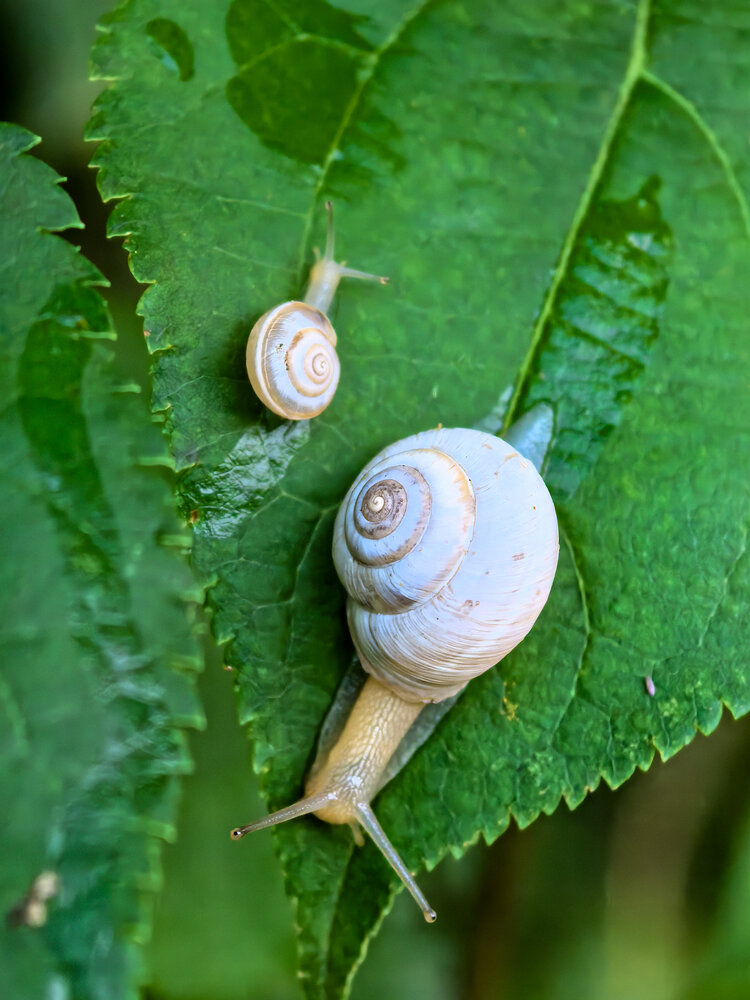 Photograph by Наталия Сметнёва