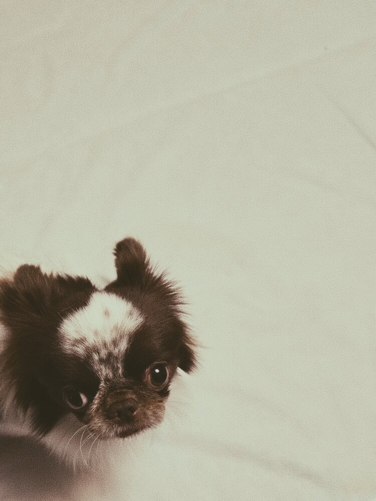 Photograph by Елизавета Ковалева